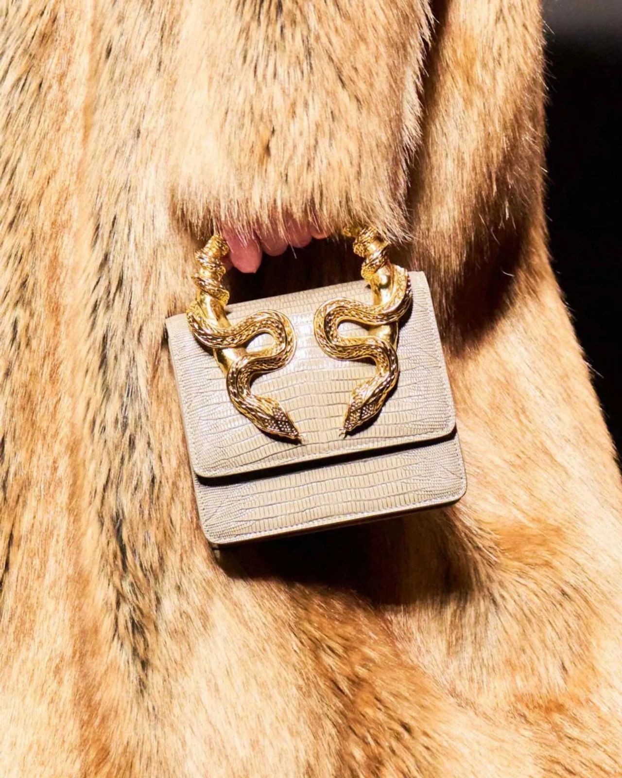 Roberto Cavalli Borsa with Snake Handle